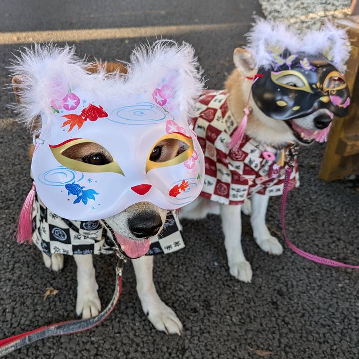 79d200ed 8989 41f9 a1cb 7ab9dead1a9a 1724560114623