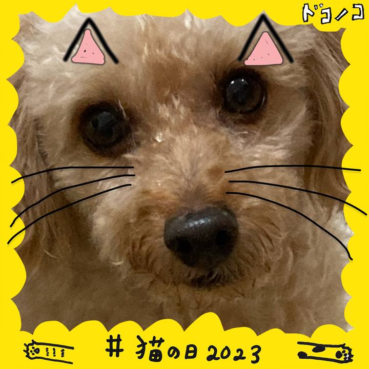 79d209e6 eb3c 4dd2 a866 1a4b72423853 1677067835272