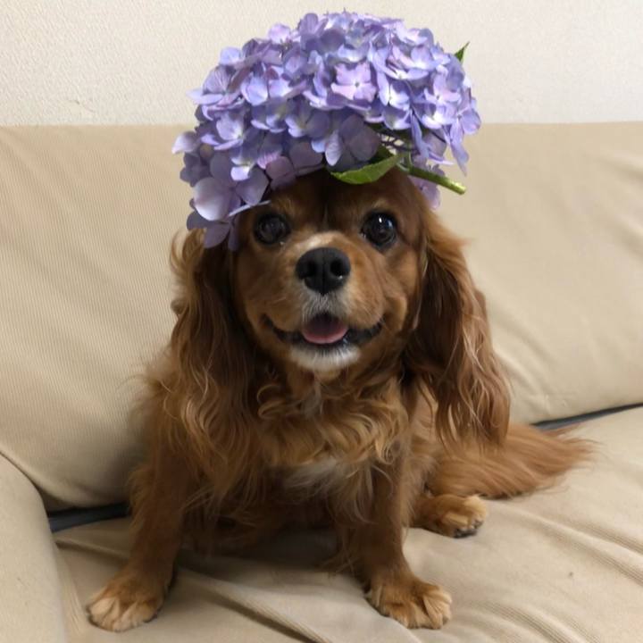 79d218f5 0868 45fb 9edf 2dd6fbed0972 1624189931101