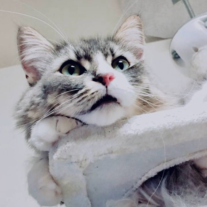 79d21c66 0671 4c77 ae1b 8575090e1cbe 1756741639854