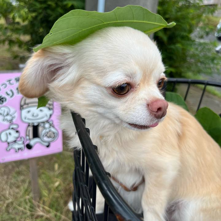 79d23fde 665d 4d99 b89a 5b1f9b15708e 1727406148241