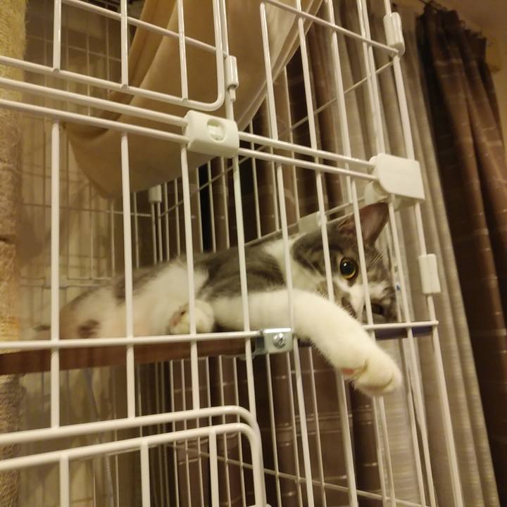 79d249c8 e349 46d4 b427 62070135a41c 1578398872732