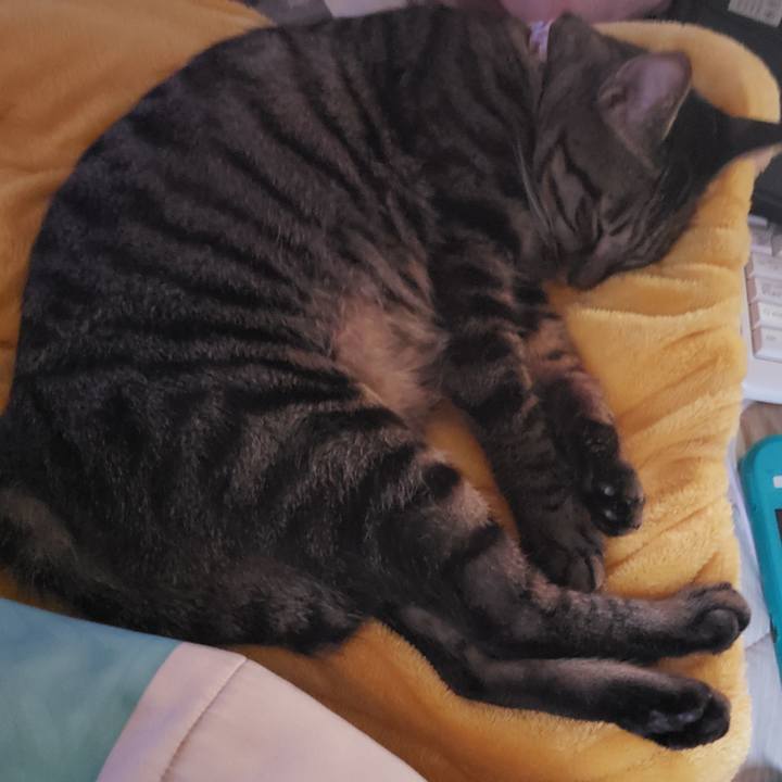 79d25597 56c3 43a8 ade5 c49f3f38a2b1 1570863731516