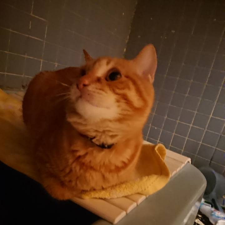 79d255c1 0403 44ed 9526 758cb52a930a 1640426639205