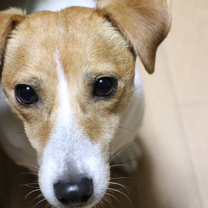 79d29ad3 aa61 4ab7 8de8 e9d431a40127 1542973297652