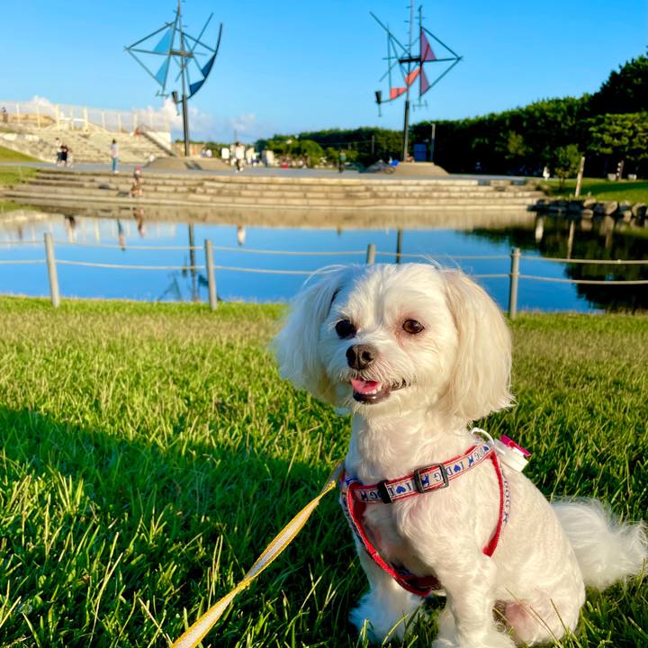 79d2b481 95ab 4aee b3d2 ac324fc1c58d 1634268471134