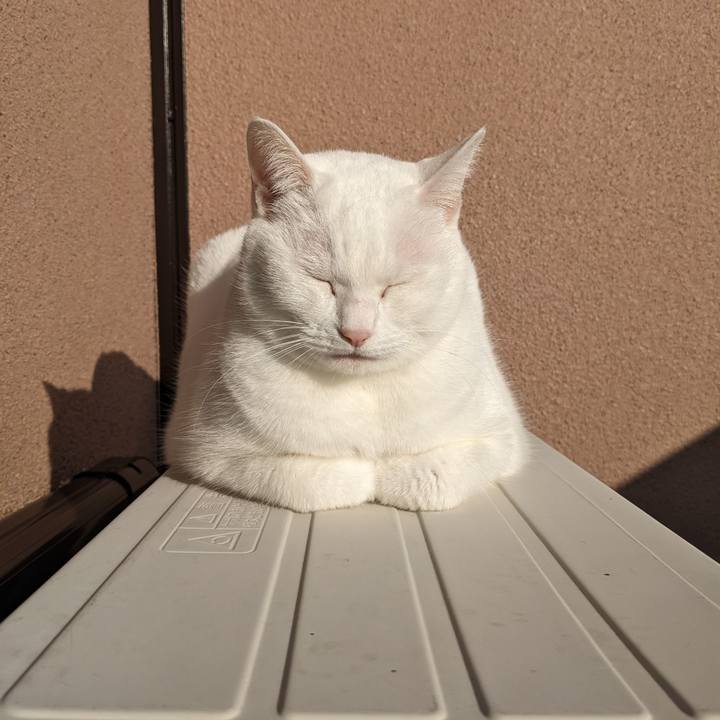 79d2e878 581d 42d1 9563 251d94939470 1674283662058