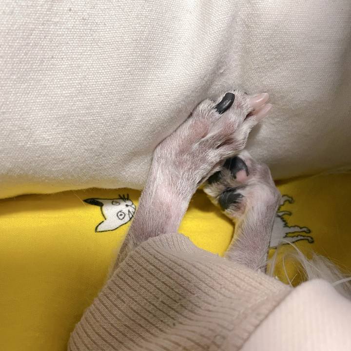 79d2ed6d 2ebc 4416 9e8a 37555a165b44 1768270050588