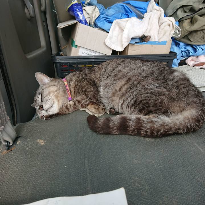 79d2f1f9 a8f6 4e65 91a3 7c4aa7a82e25 1596323910830