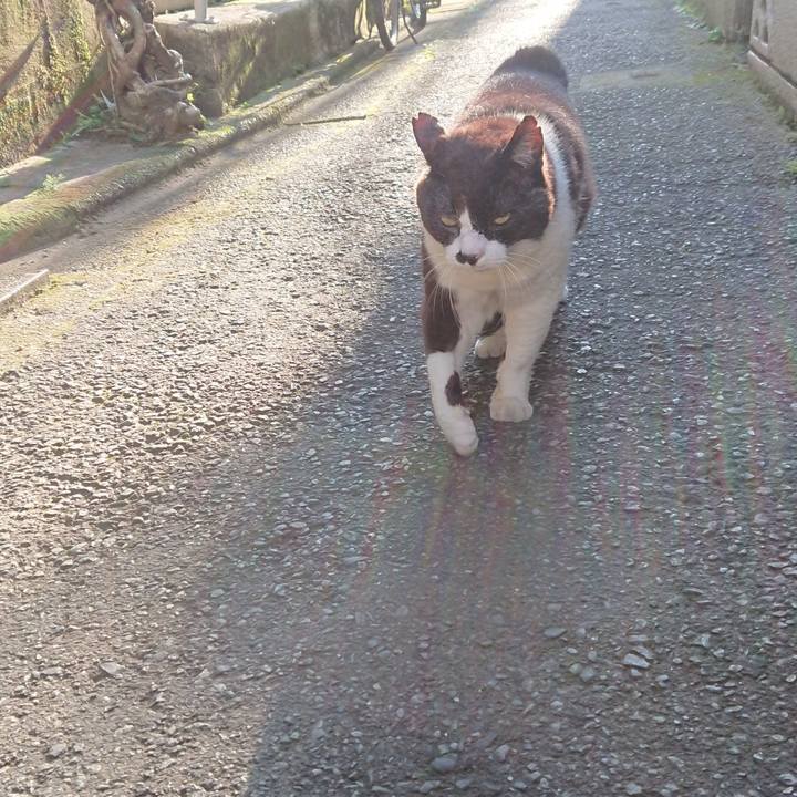 79d323bc 468c 41b6 83f7 eb6e9d38a3be 1655021798291