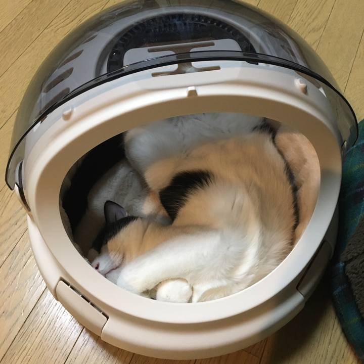 79d34f8e c075 4ecd 96a2 12e7a2be45e9 1521851825183