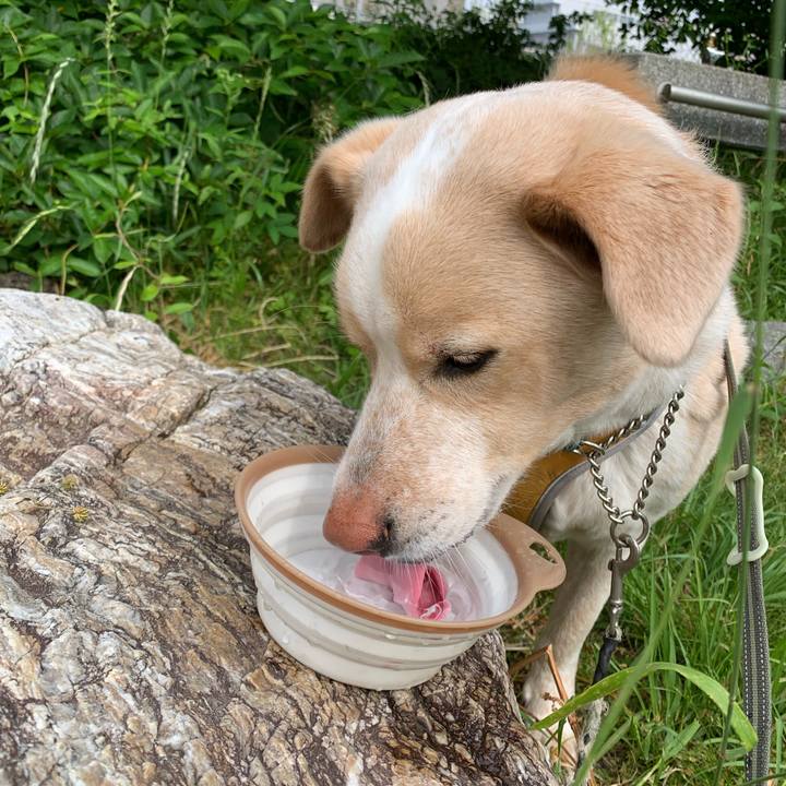 79d35a6c 824e 485e a22d 1a47917012a0 1558918005577