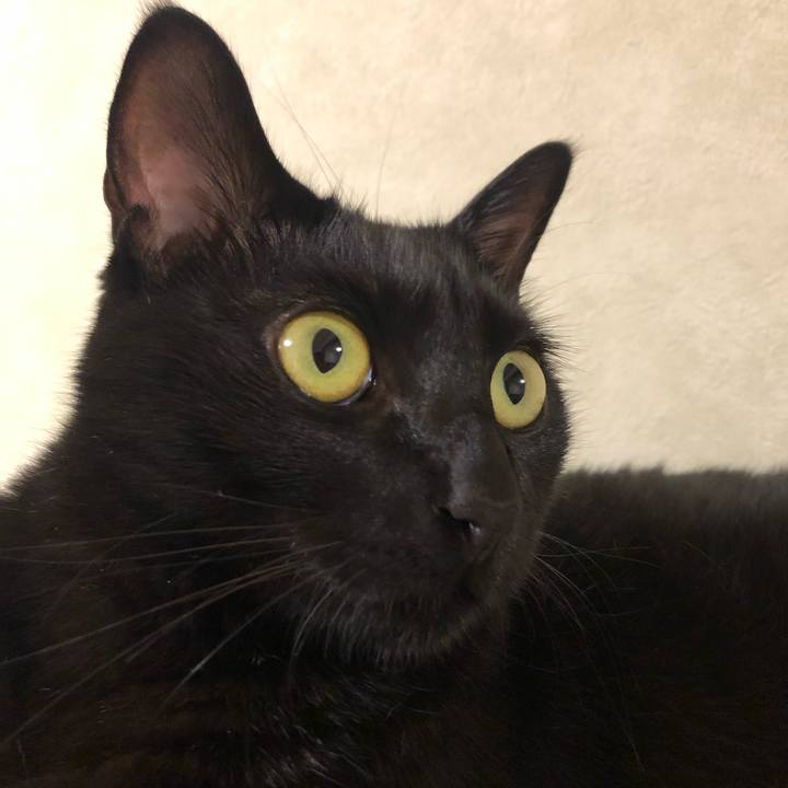 79d39221 e8cd 48f0 a627 e1ff21ac19f0 1564182453651