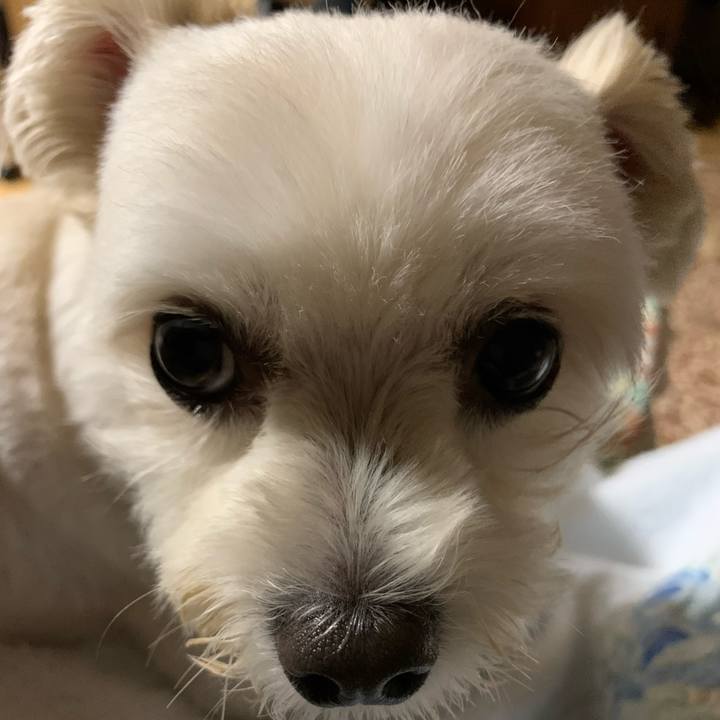 79d398dc 78bf 4876 9a1f e3699d2f9ba4 1599185189268