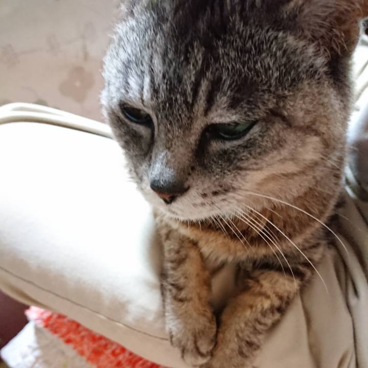 79d3eaa1 593f 45c4 a635 9878c9fd83c2 1563916510052