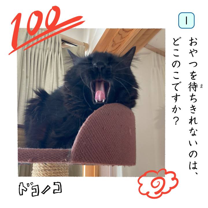 79d43f8f 493c 4bdf b329 70be76d55f3d 1744282405629