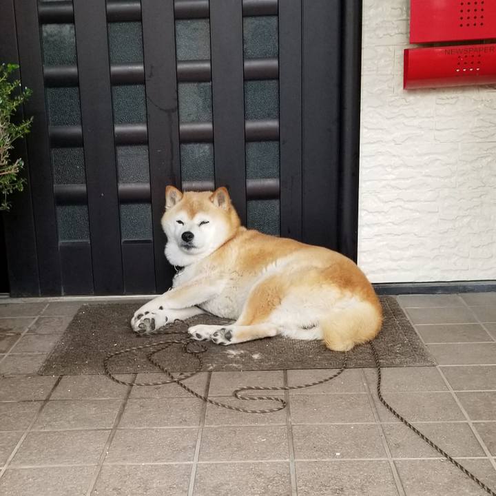 79d44438 0f13 4bc3 af9a 5d5f846cda39 1687410475855