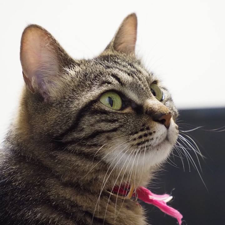 79d45107 d18b 4538 b17d 0b4351b5c48d 1626595996203