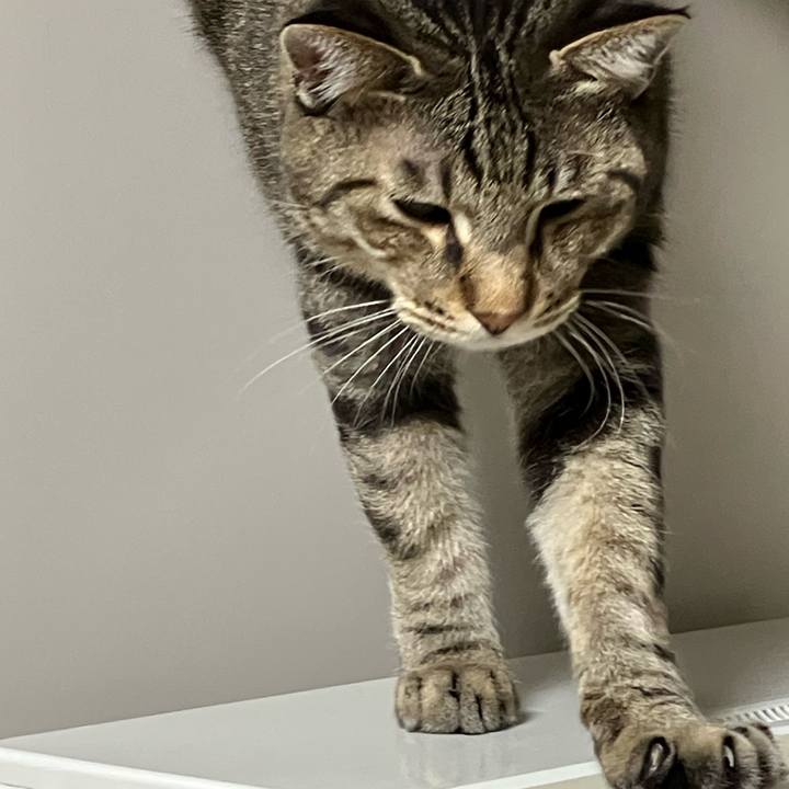 79d493c4 86dc 4f3f a267 23e5fb142507 1763638204599