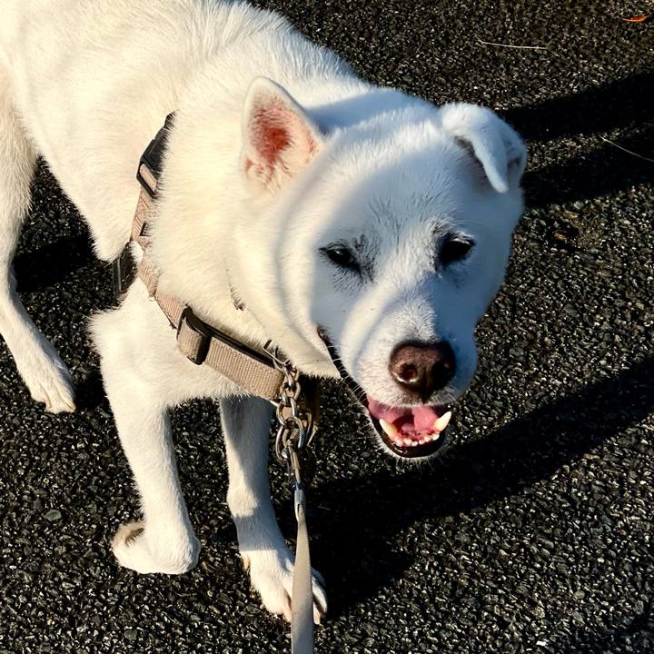 79d4a08e 0683 4380 a48f 4aafa173bdf6 1729827420496