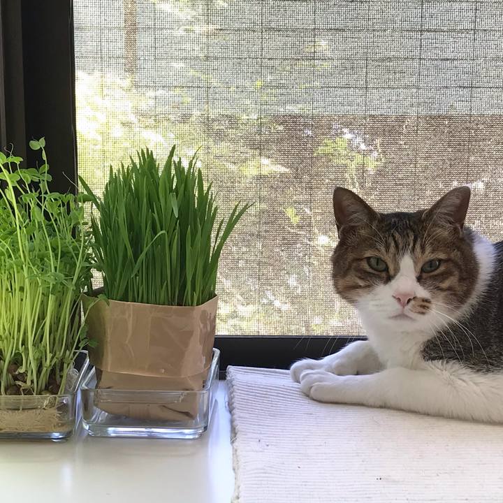 79d4a6ec 234a 4e0e 9648 48b8aaa11549 1619446191354