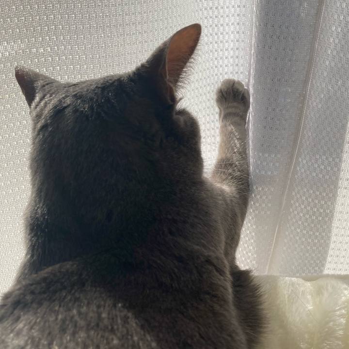 79d4d28c 3cf8 4cdc a84b 11cd5d097254 1644401545726