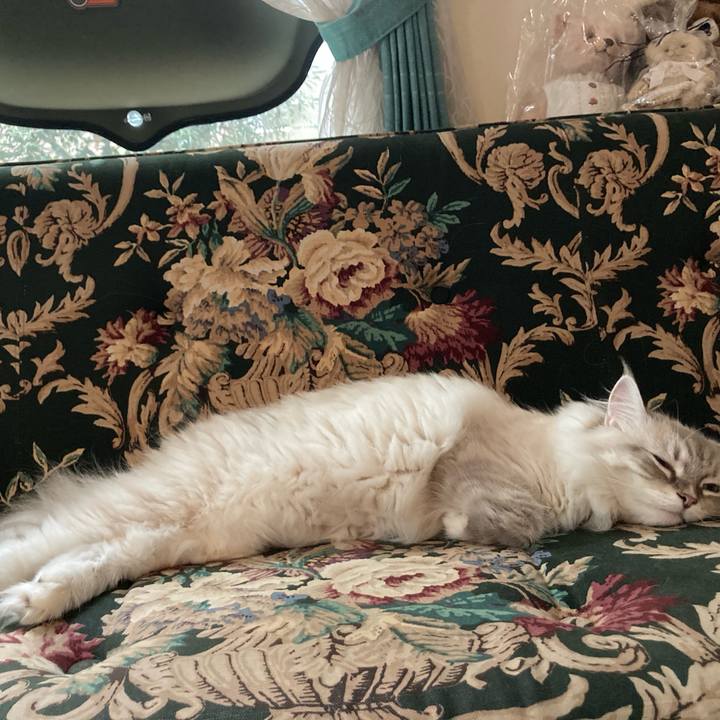 79d4f26d 1e8b 4012 b230 d1f703d8cc06 1693140169880