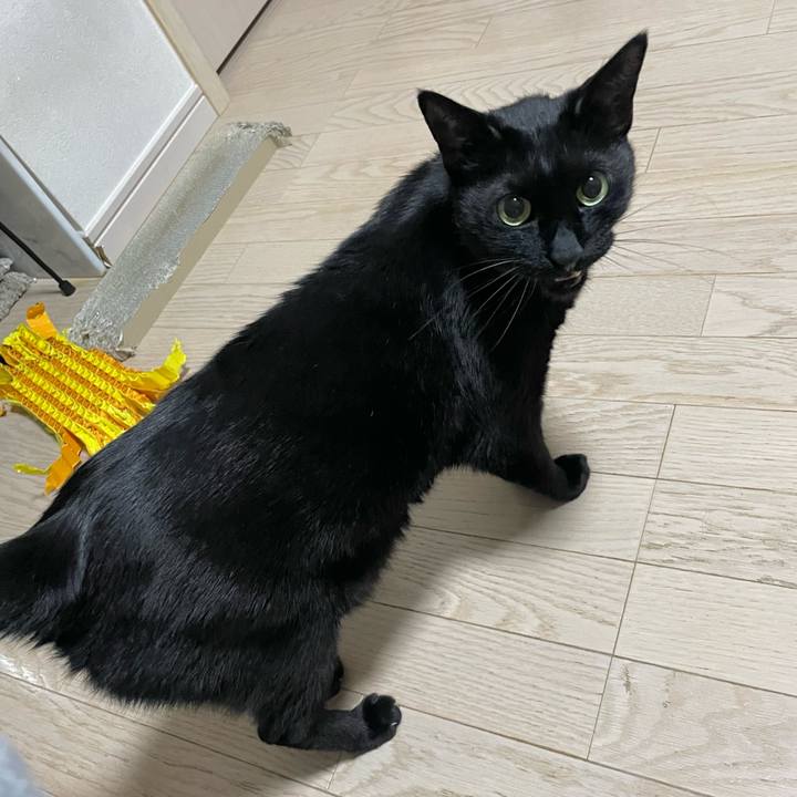 79d50782 2a38 4cc9 8553 0931b350d2a4 1682600106016