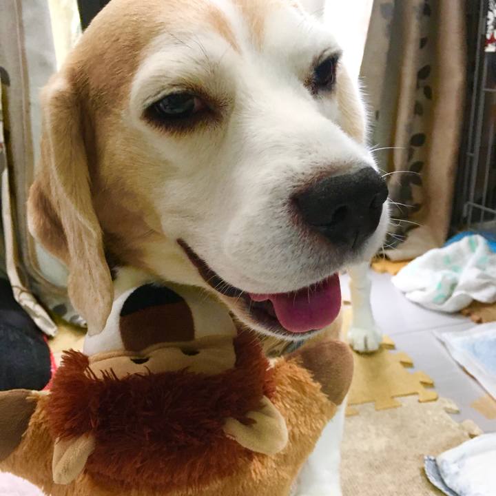 79d55e86 6112 4a5a a495 0703a1379c9c 1571629159800