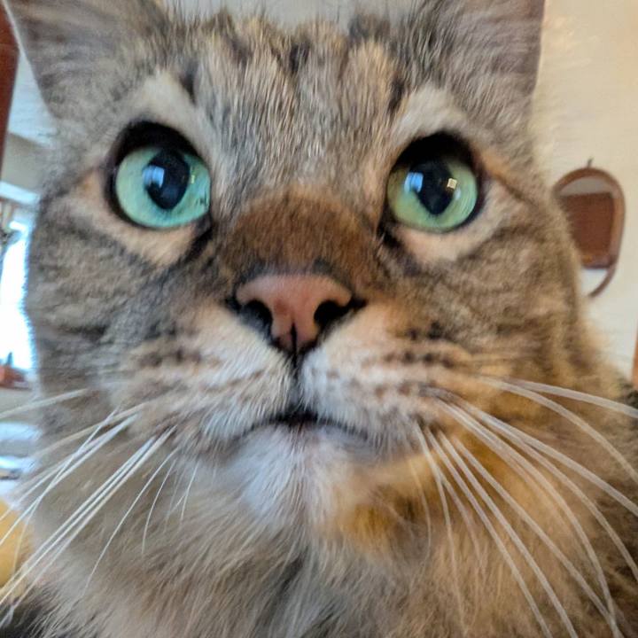 79d563f1 9fd7 4bf6 be62 6e7b07390af2 1762729335210