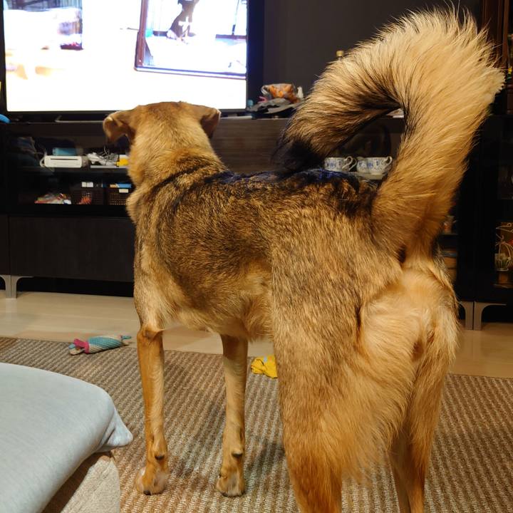 79d5db6c 6a84 4677 848f 364c8b645315 1700051088755