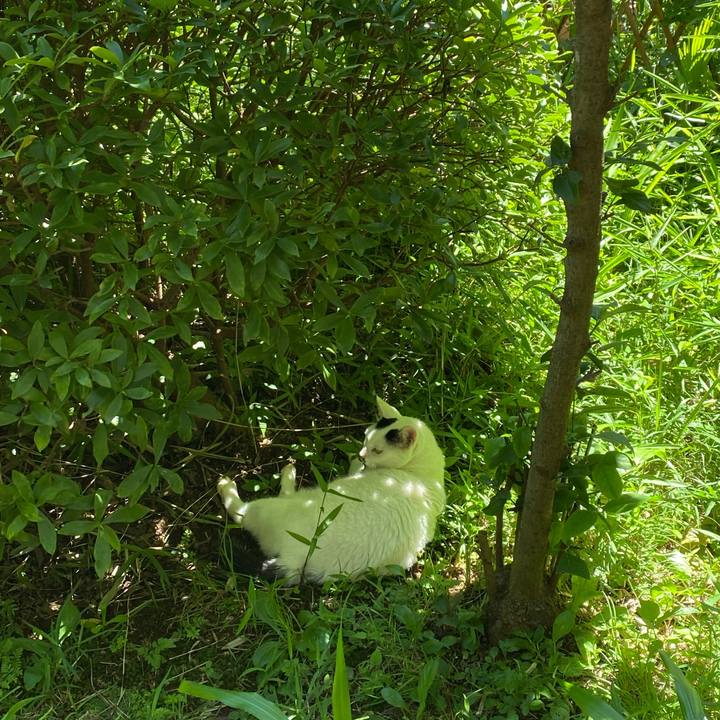 79d642a4 8585 435e 80d5 7cf32864f8ec 1626597551059