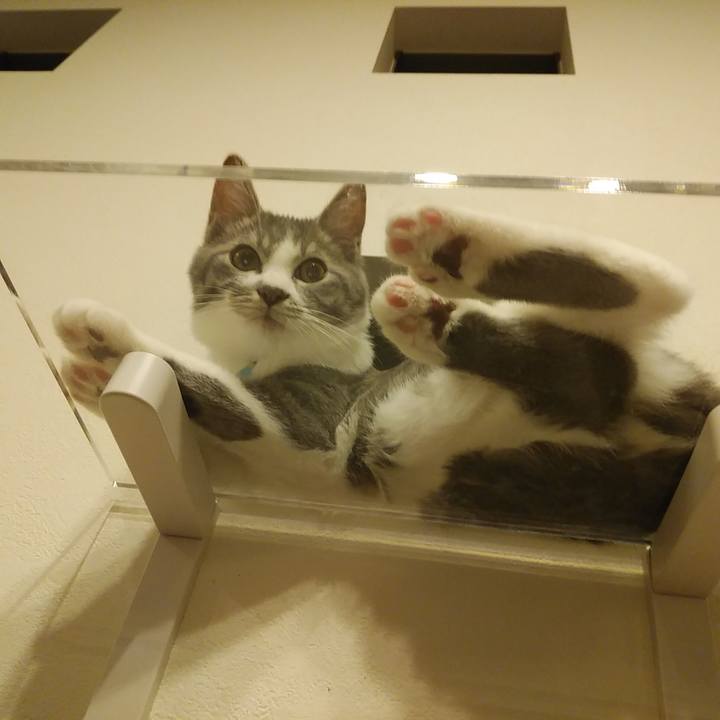 79d65058 b32d 48fb 836b e59ded666da4 1566740481887