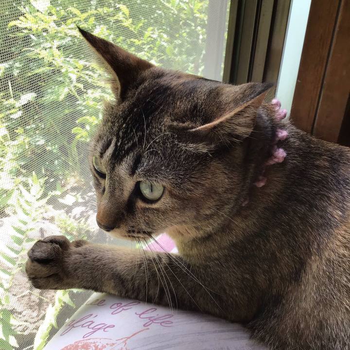 79d65c76 acf0 4af0 b773 58bfd916a525 1590207639987