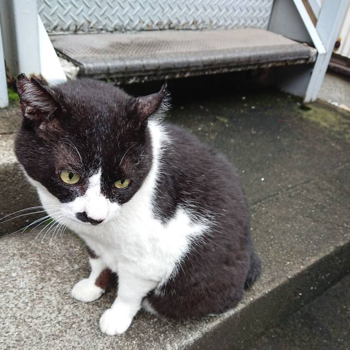 79d68b3d 5771 48cc b417 3ee6629047d4 1630727723474