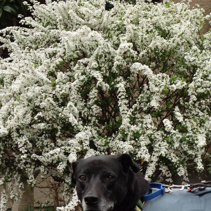 79d6c1e7 0d6b 4ec2 91ee b320f7e92d66 1711759859438