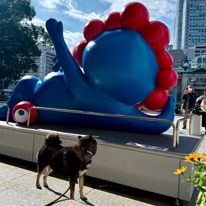 79d6cc45 339a 4aed 9055 be3290beca38 1762119417836