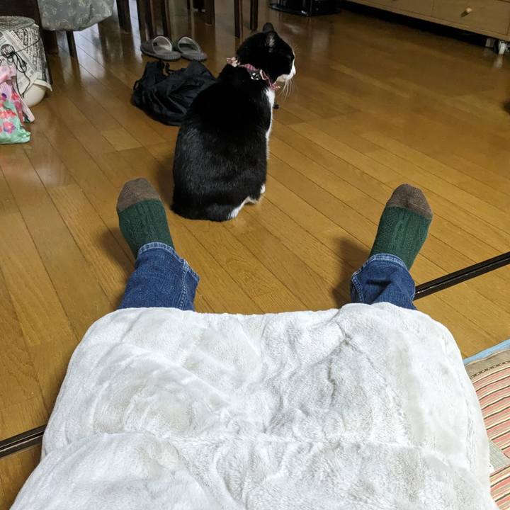 79d6dc0e 66e8 4a12 8fad b31c30c21e8a 1673251197989