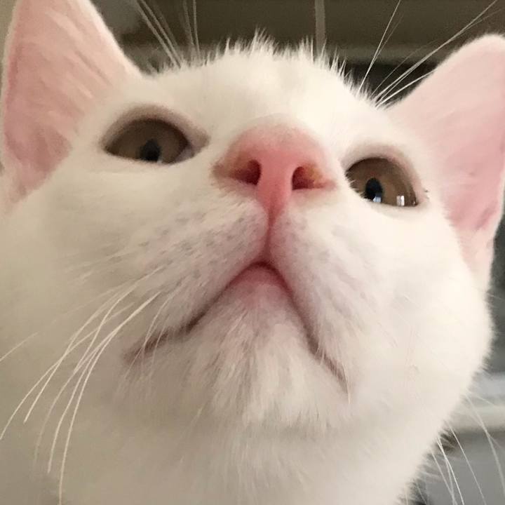 79d6e896 4dde 4a56 b66b 912be8943614 1569631731227