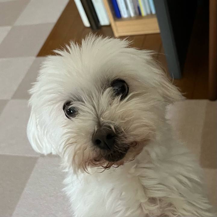 79d6e89d 64f1 425e 98d7 fd856bbfaf77 1718779571786