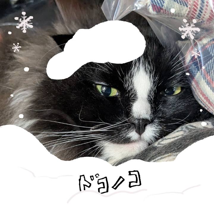 79d705aa baba 4c34 bbec b802ac10c7b5 1772254427733