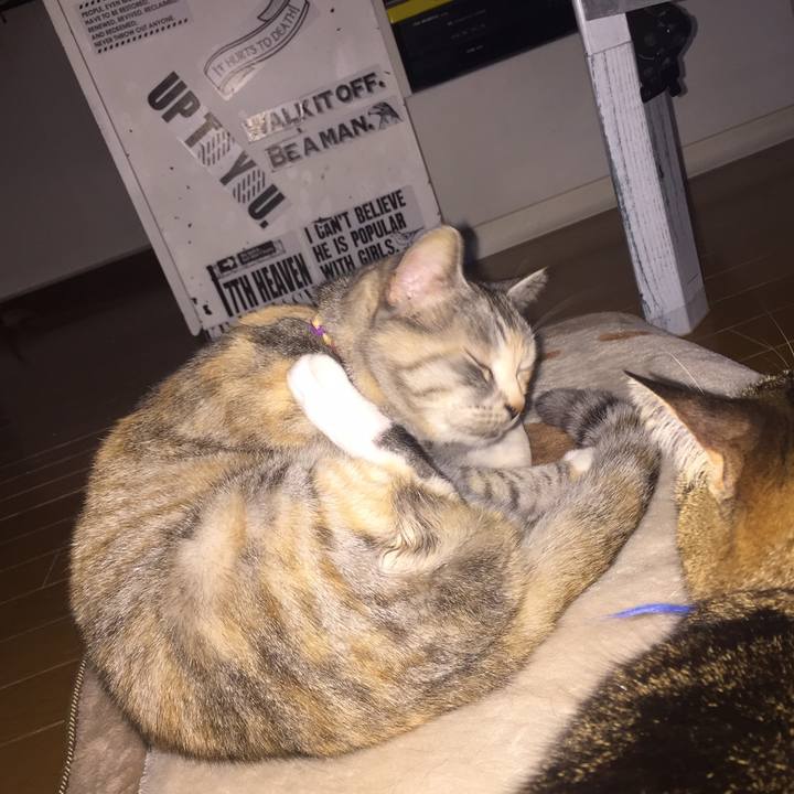 79d713e9 2c41 4089 9ed9 0c4ecbd74f97 1558729861833