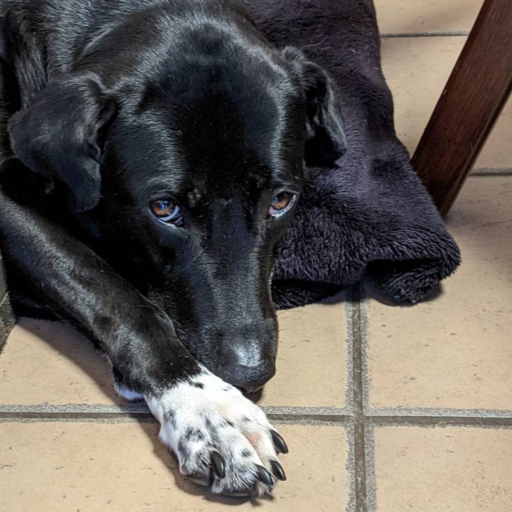 79d71bc8 a84d 4149 8477 1986e2746521 1648981140928