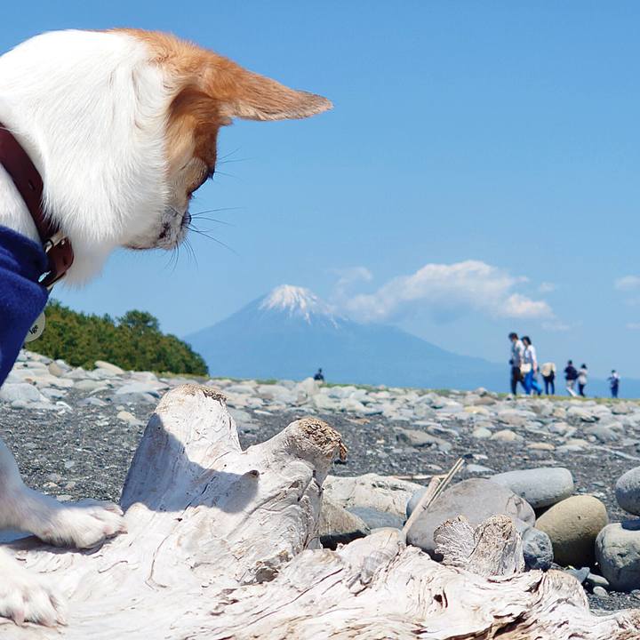 79d74eb0 9a19 442c 8f1d 051831c4f13d 1683331995247