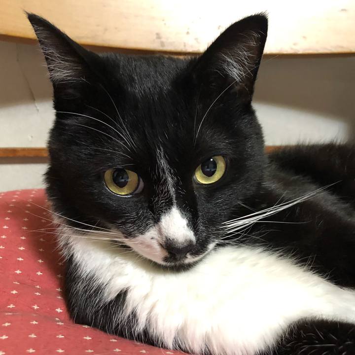 79d75b32 e0b5 4996 a49e 6c64155fb3d1 1634183574498