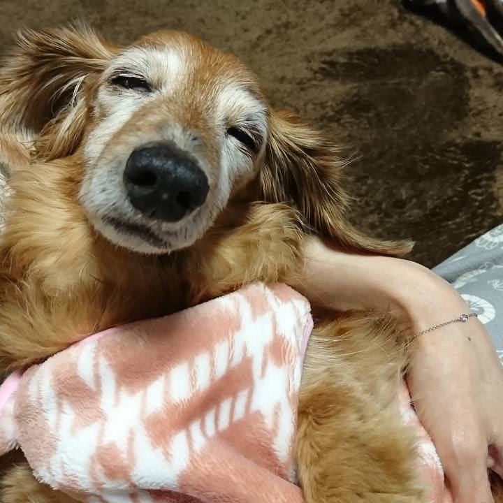 79d78718 eacb 44b3 87c8 aef5b8e8ff4c 1575397722043