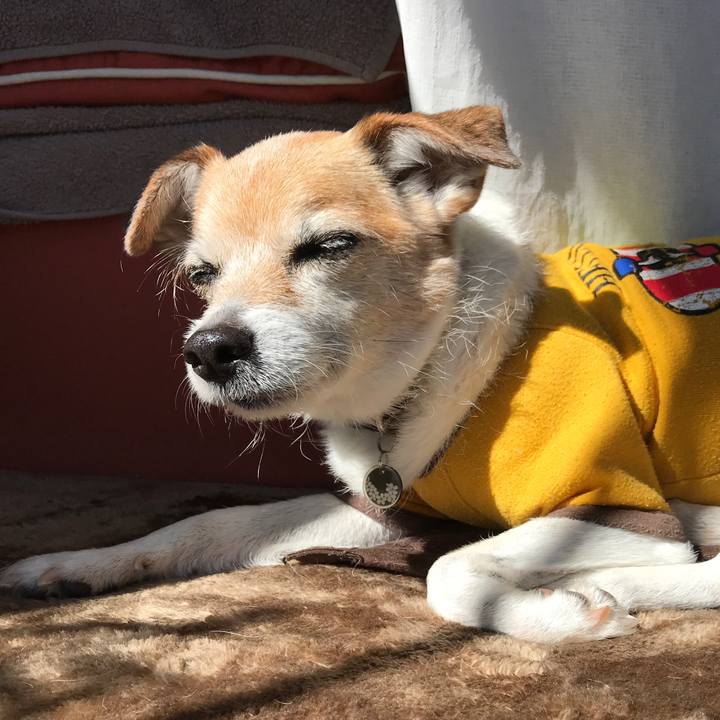 79d7b837 7e86 43e2 98e9 f5258d083b64 1645069857399