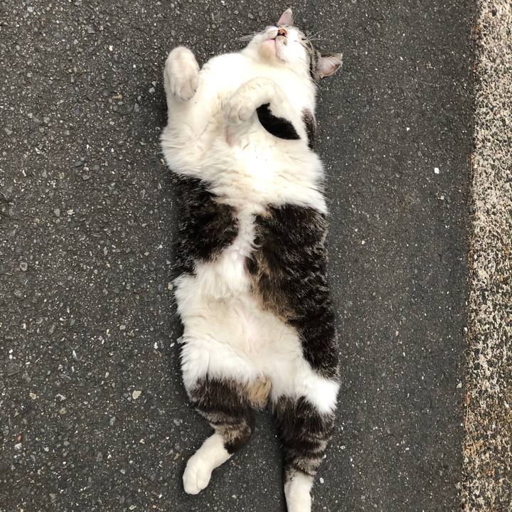 79d7bfc0 2ac0 4e62 b546 0a1d10ebdbe1 1590715576457