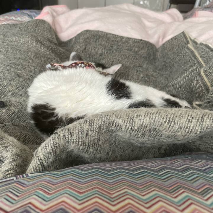 79d84991 b137 4c3a 85c4 1a7d30adff1f 1684148159040