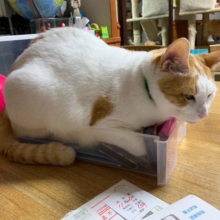 79d84cf7 3e8f 4e60 be70 d6c1940f6eeb 1561299713020